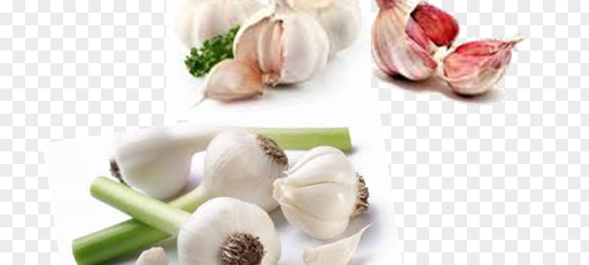 Onion Genus Garlic Broccoli Vegetarian Cuisine Organic Food Vegetable PNG