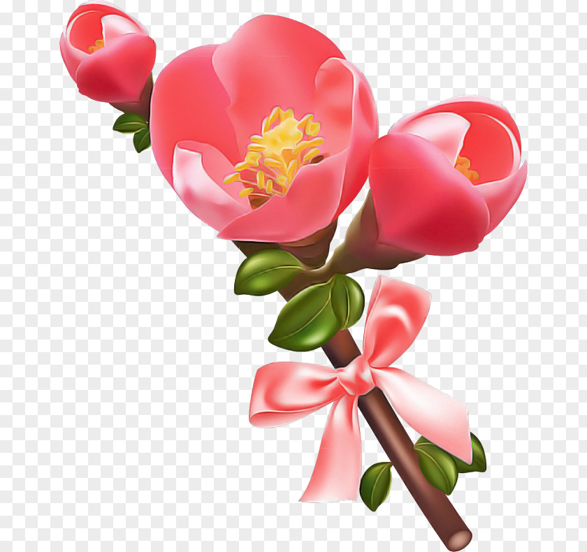 Plant Stem Branch Pink Flower Petal Heart PNG