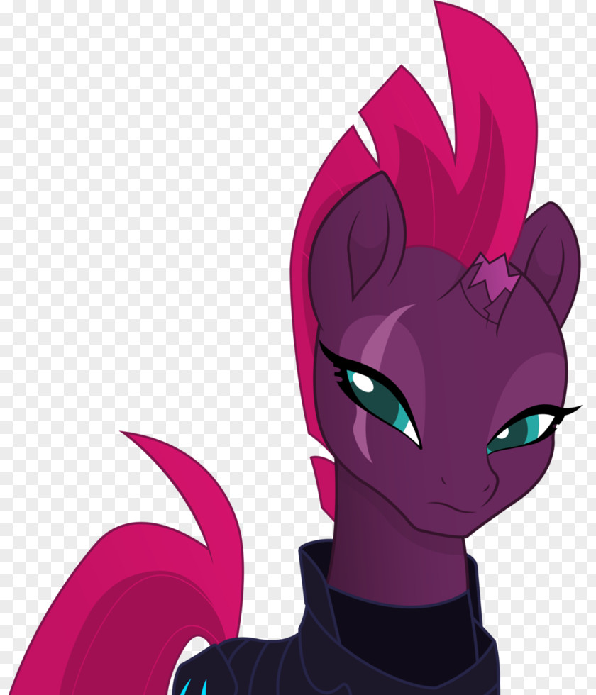 Tempest Shadow Derpy Hooves Pony Rarity The Storm King PNG