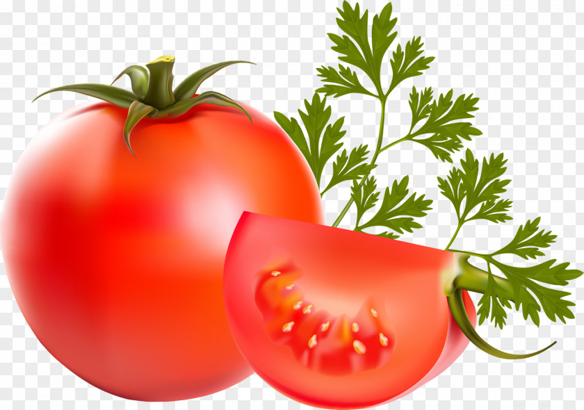 Tomato Vegetable Parsley Food PNG