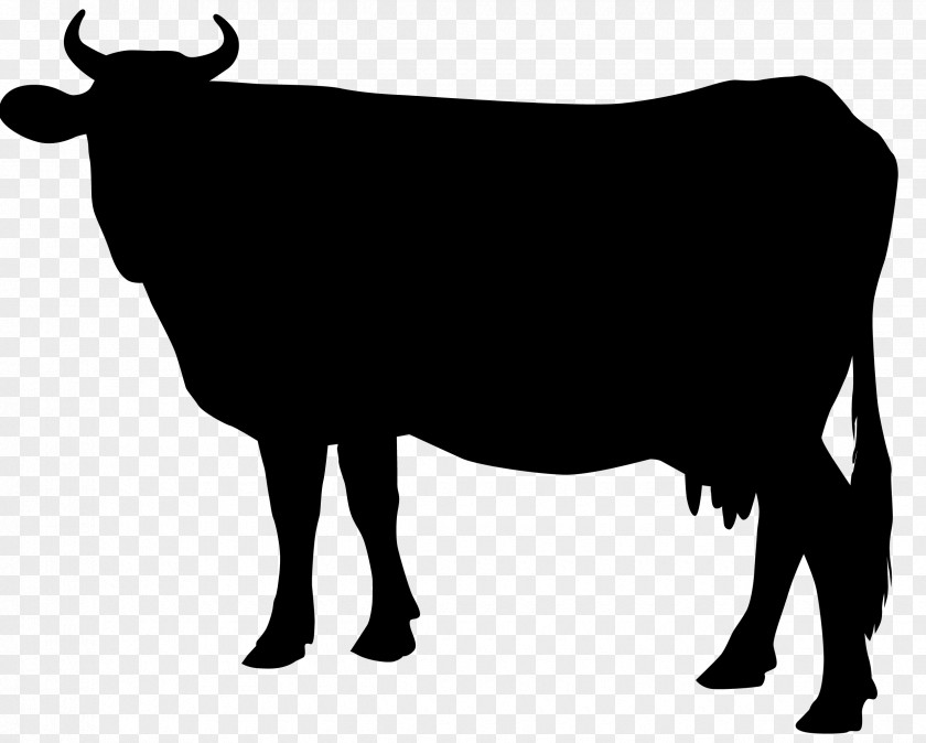 Avoid Picking Silhouettes Cattle Silhouette Clip Art PNG
