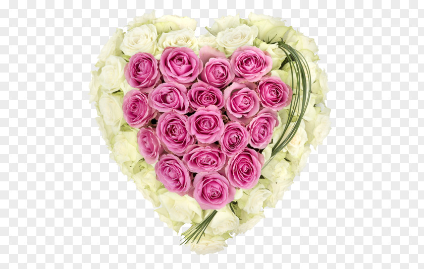 Flower Garden Roses Cabbage Rose Cut Flowers Heart PNG