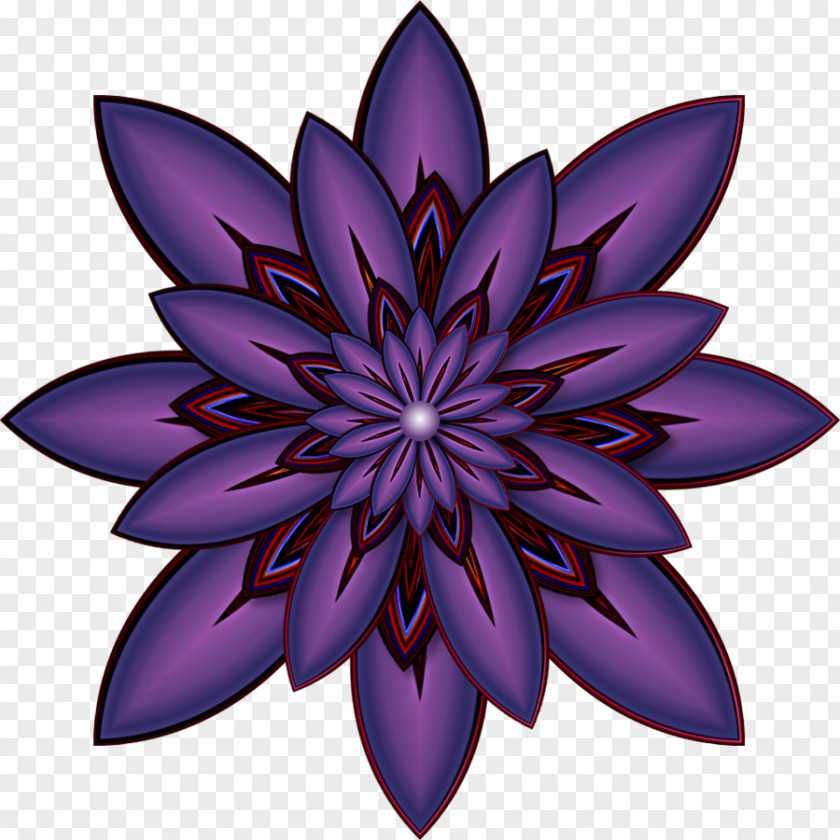 Flowers Lila Symmetry Flowering Plant Pattern PNG