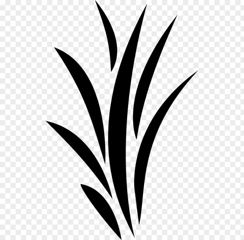 M Flower Plant Stem Leaf Clip Art Black & White PNG