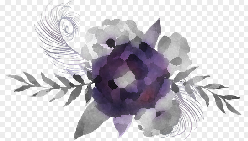 Petal Anemone Lavender PNG