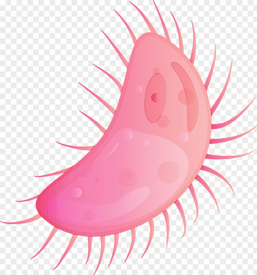 Pink Nose Mouth Lip PNG