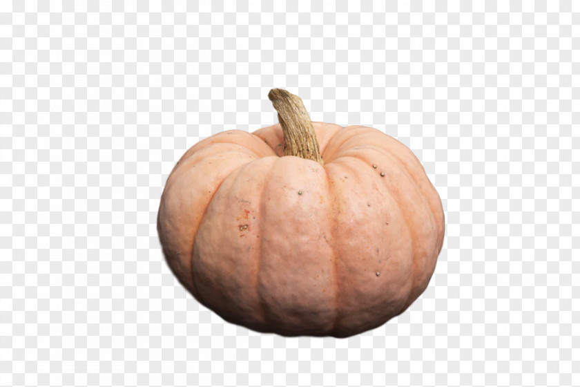 Squash Winter Gourd 0jc Fruit PNG