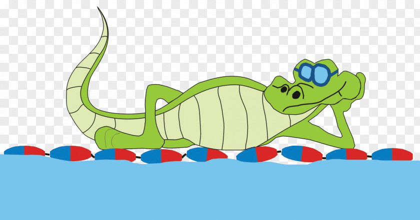 Animal Figure Alligator Caterpillar Cartoon PNG