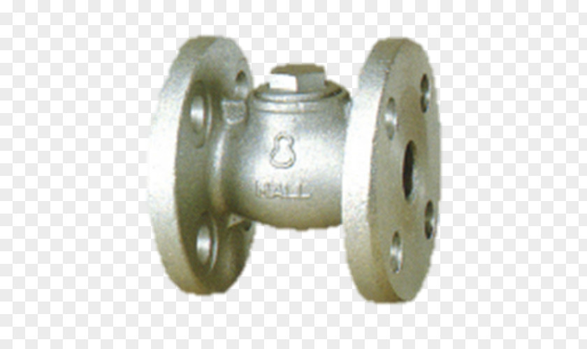 Brass Check Valve Steel Flange Ductile Iron PNG