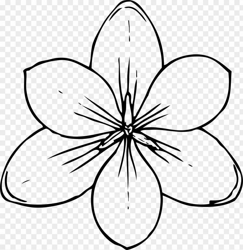 Flower Coloring Book Clip Art PNG