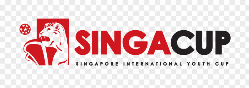 Football Scheidsrechtersvereniging Apeldoorn En Omstreken 2017 Singapore Cup 2015 2016 PNG