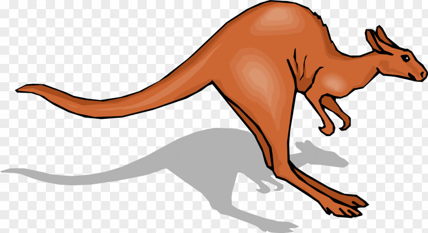 Kangaroo Jumping Clip Art PNG