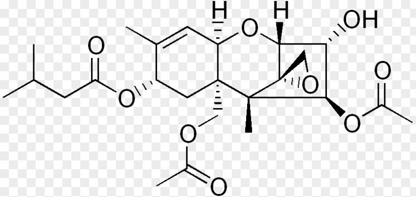 Mycotoxin Chemistry Chemical Compound Fungus PNG