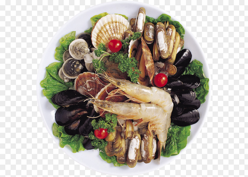 Shrimp Caridea Shellfish Italian Cuisine Sea PNG