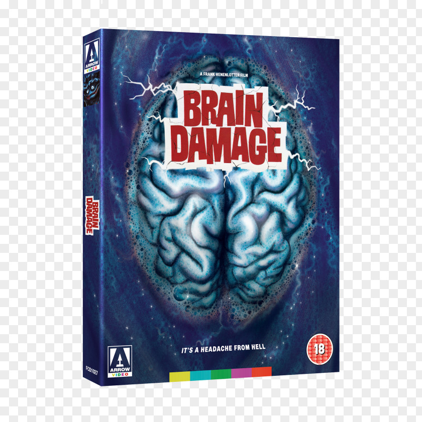 Brain Blu-ray Disc DVD Arrow Films PNG