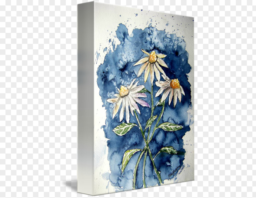 Watercolor Daisy Painting Floral Design Still Life Work Of Art PNG