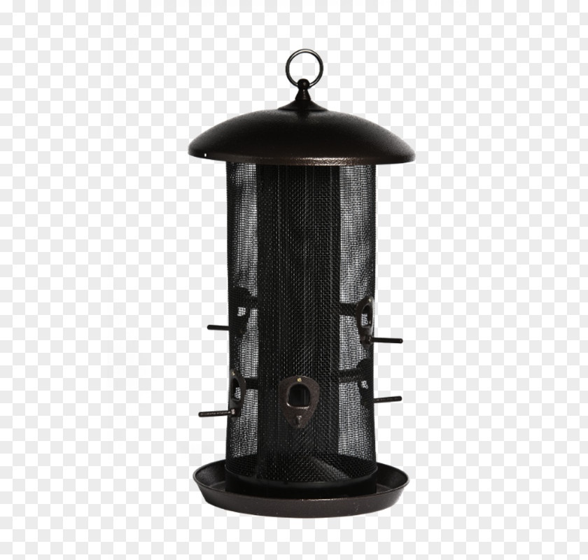 Bird Feeder Feeders Food Feeding Eurasian Blue Tit PNG