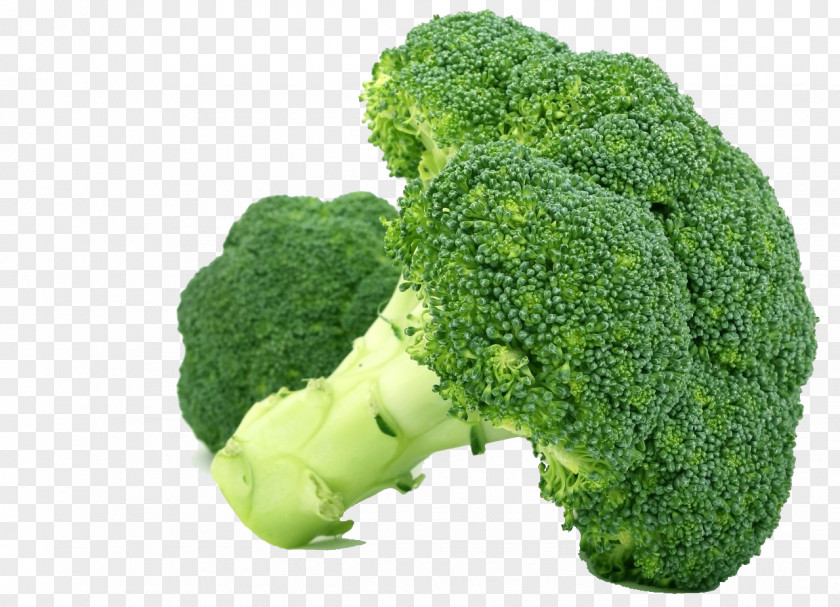 Broccoli Nutrient Health Nutrition Food PNG