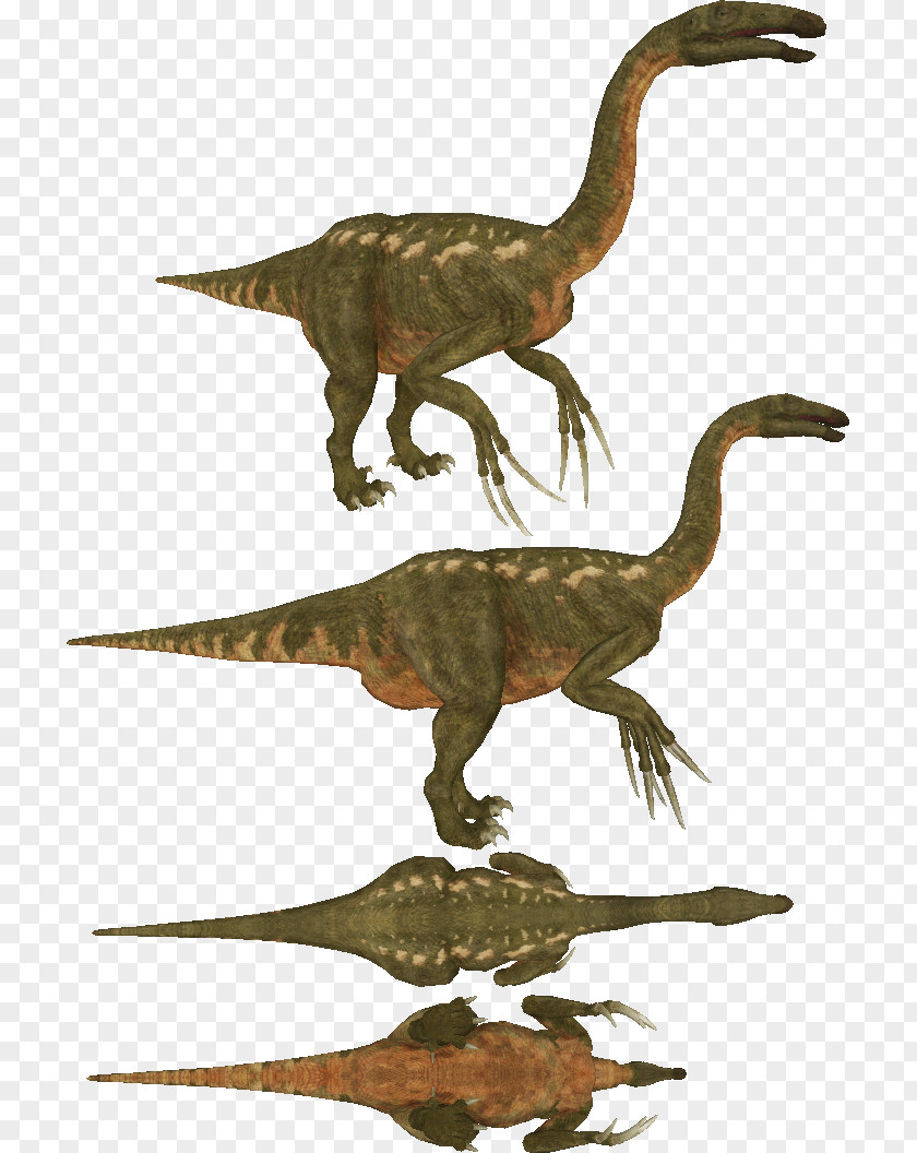 Dinosaur Therizinosaurus Velociraptor Protoceratops Zoo Tycoon 2 PNG