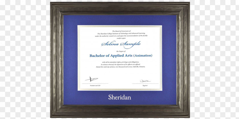 English Certificate Picture Frames Diploma Academic Degree Double PNG