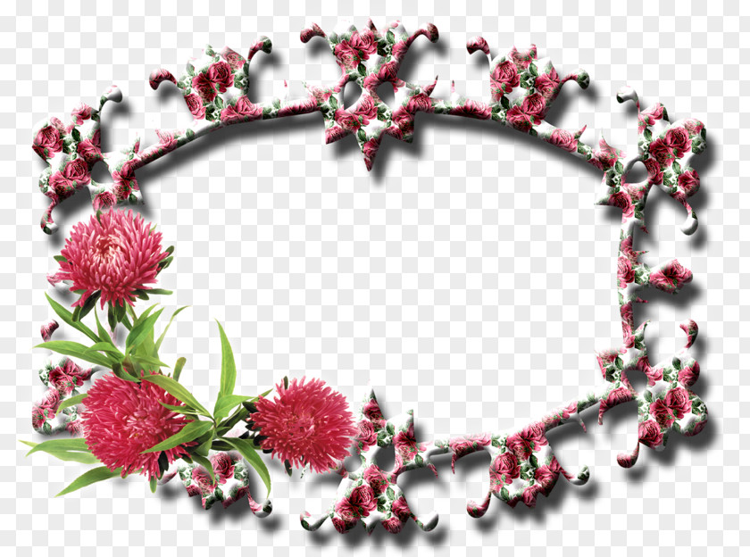 Picture Frames Photography Flower PNG
