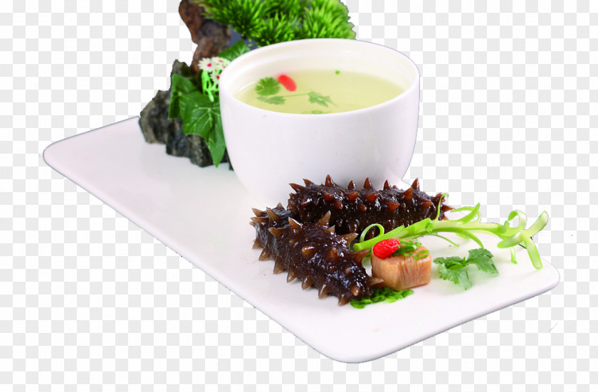Sea Cucumber Vegetarian Cuisine Recipe Leaf Vegetable Salad Tableware PNG