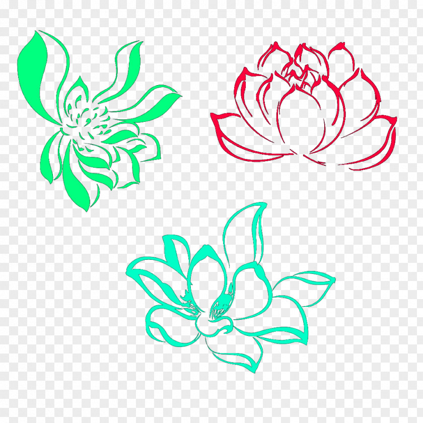 Three Phosphors Color Lotus Drawing Nelumbo Nucifera PNG