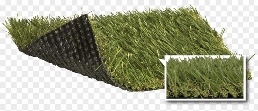Artificial Turf Distribution Lawngrass Garden Teito PNG