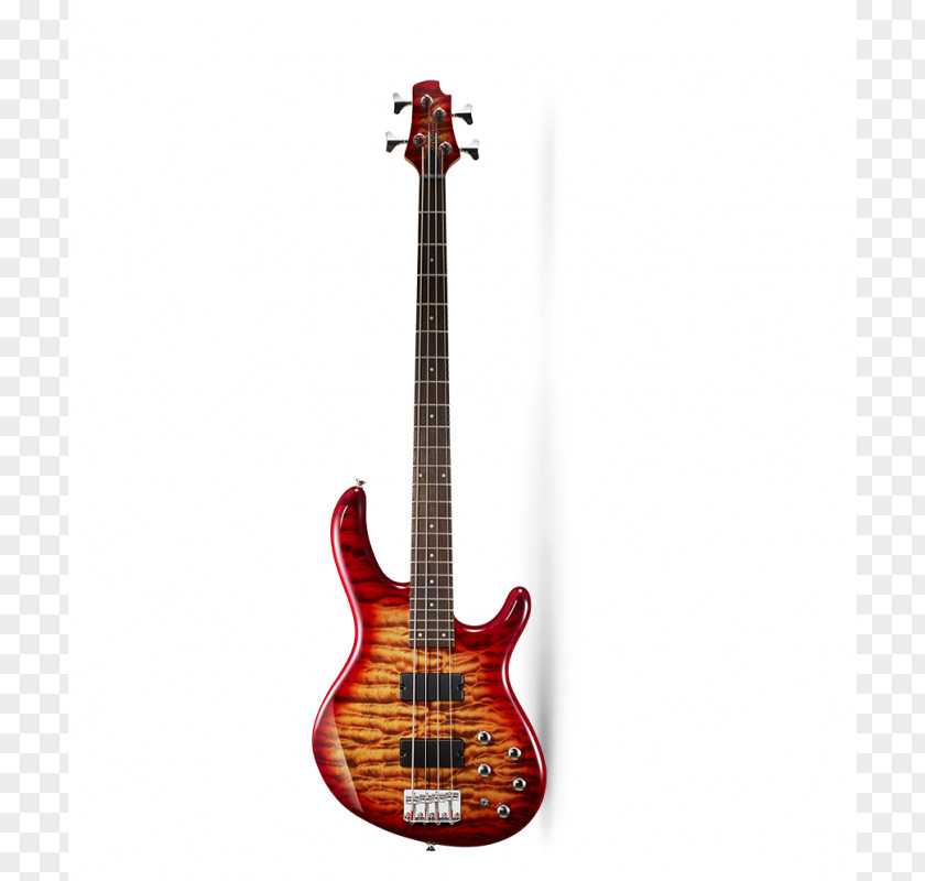 Birch Fender Stratocaster Bass Guitar Electric ESP Guitars PNG