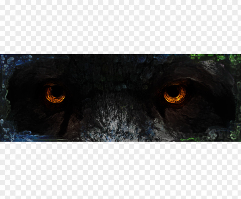 Dog Snout Close-up Black Panther PNG