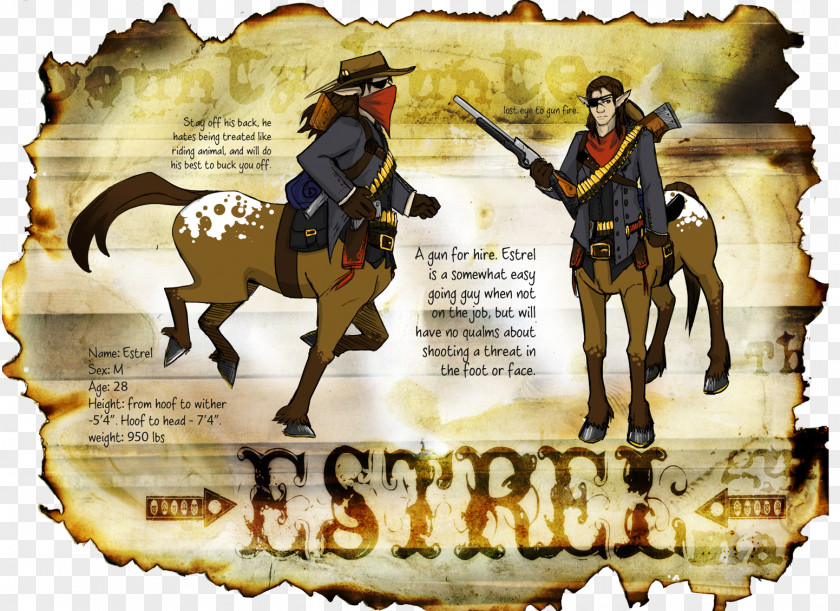 Horse Cowboy Pack Animal PNG