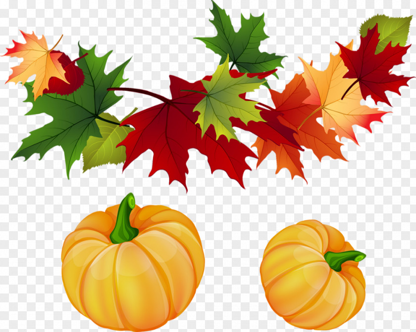 Autumn Clip Art For Fall Leaf Color Image PNG