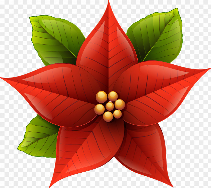 Christmas Poinsettia Clip Art PNG