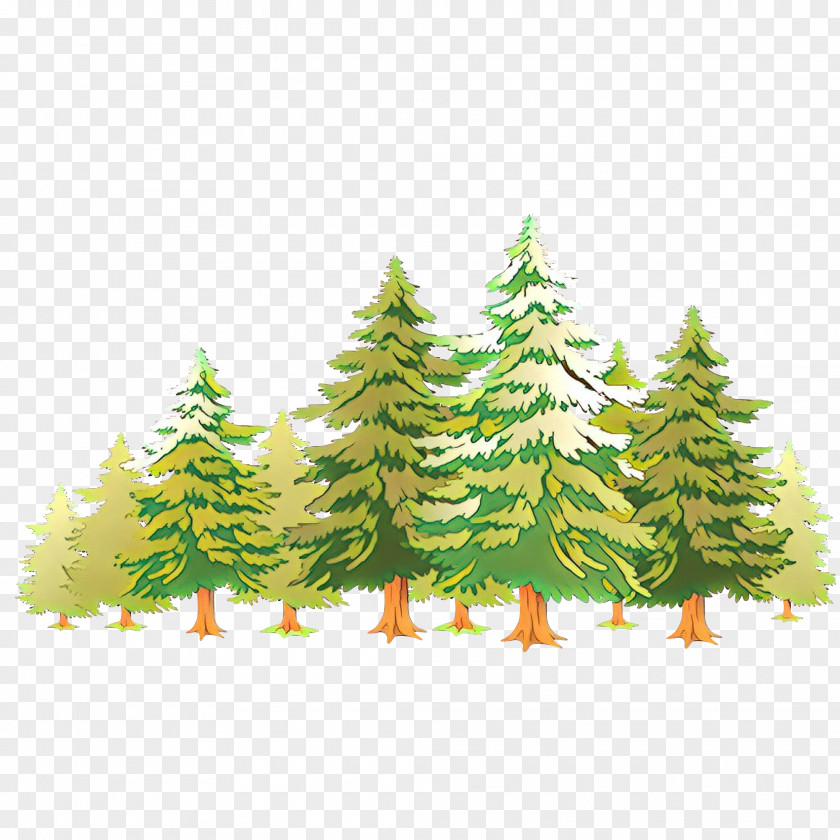 Christmas Tree Spruce PNG