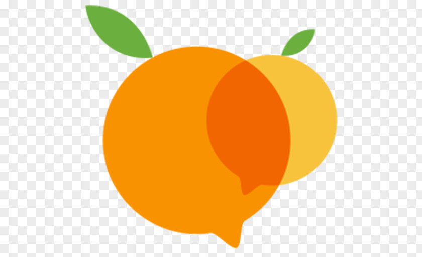 Computer Mandarin Orange Desktop Wallpaper Apple Clip Art PNG