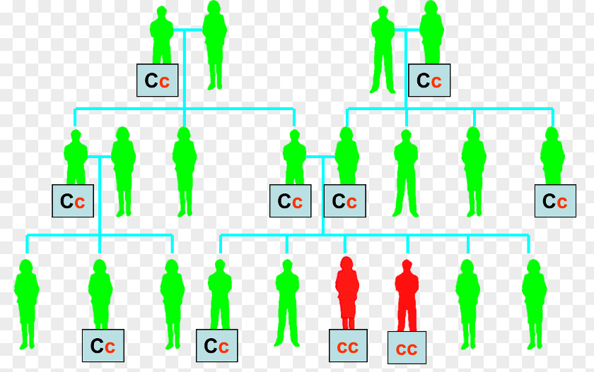 Cystic Fibrosis Dominance Mendelian Inheritance Allele Genetics PNG