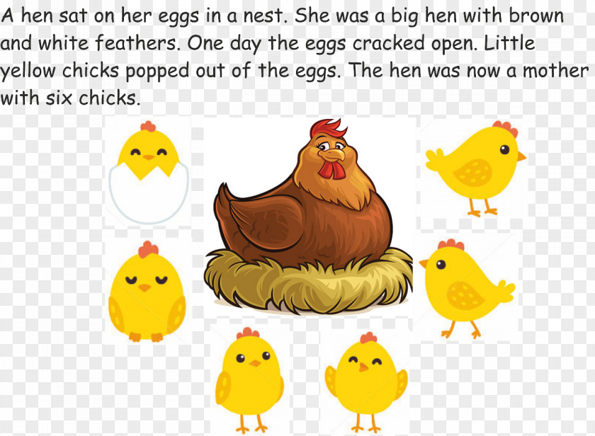 Hen With Chicks Beak Chicken As Food Clip Art PNG