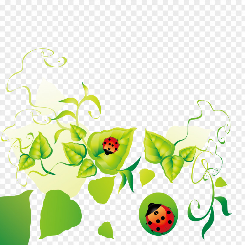 Ladybug Green Leaf Dew Decoration Borders Vector Material Floral Design Clip Art PNG