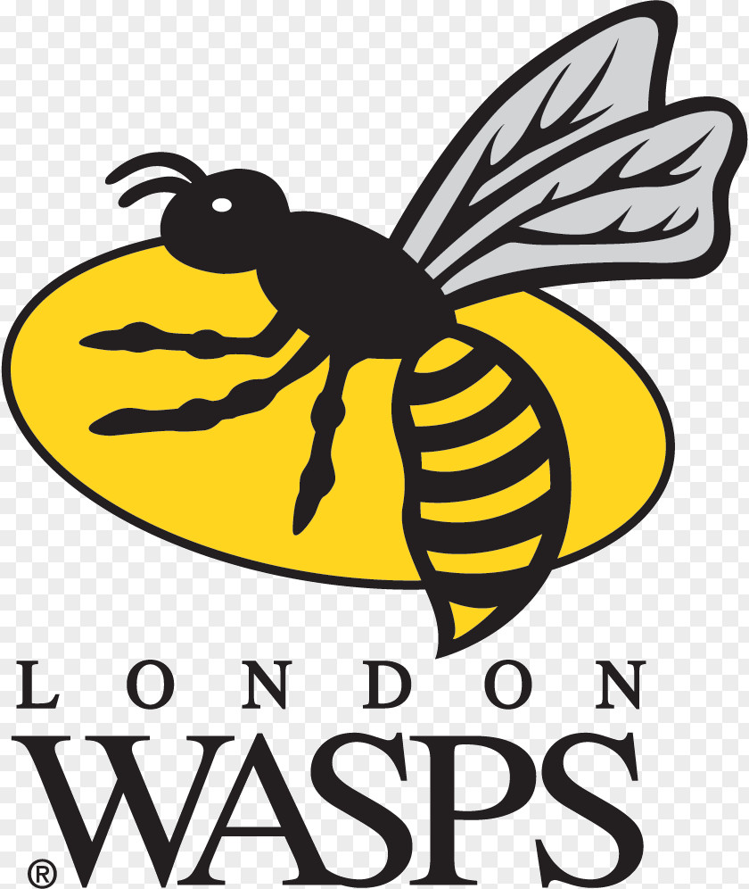 Wasp Wasps RFC London Irish Leicester Tigers English Premiership Ricoh Arena PNG