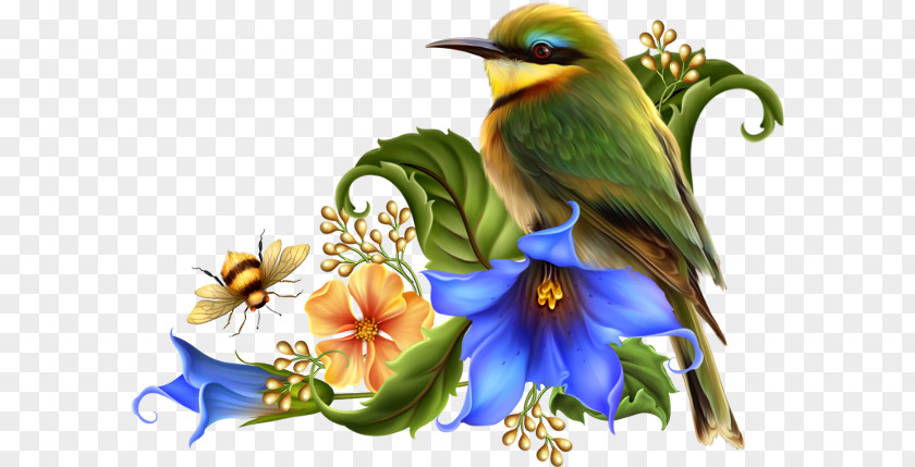 Bird Painting Clip Art PNG