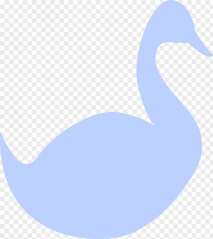 Duck Goose Cygnini Feather PNG