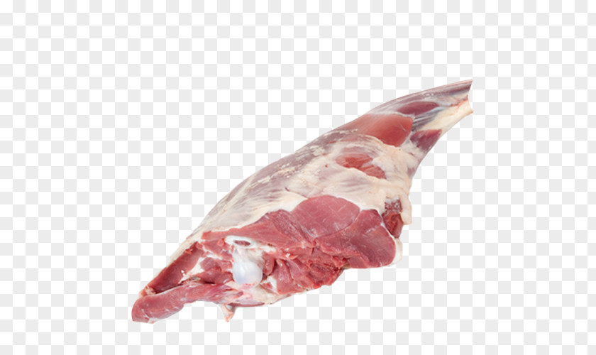 Goat Meat Halal Lamb And Mutton PNG