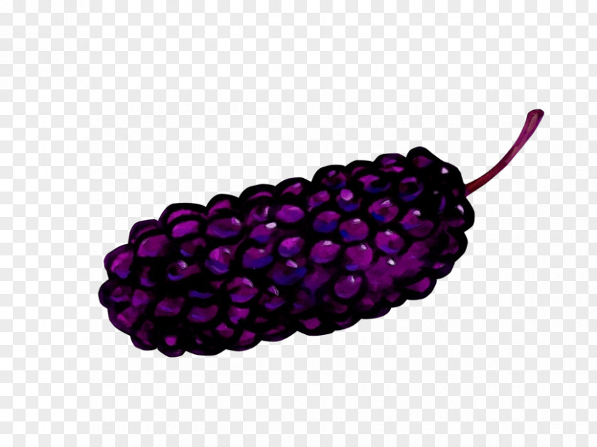 Headband Grape Violet Purple Magenta Pink Fruit PNG