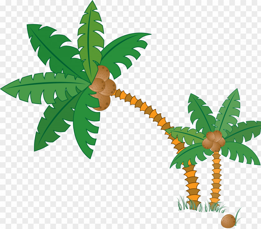 Palm Tree Cartoon Drawing PNG