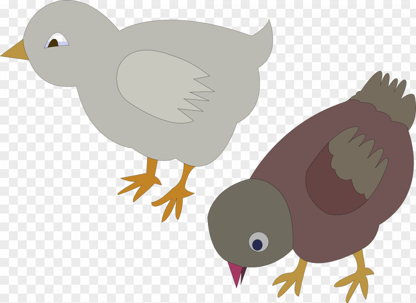 Pigeon Chicken Meat Clip Art PNG