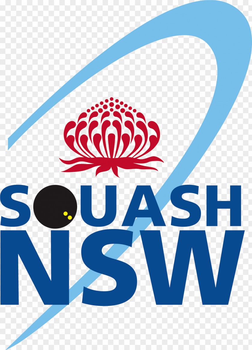 Printable Volleyball Drills Coaching Squash Australia Logo Wollongong Brand Font PNG