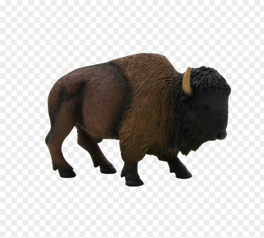 United States European Bison American Water Buffalo African PNG