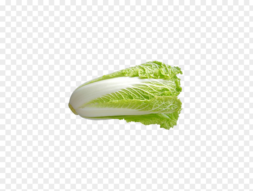 Vegetable Chinese Cuisine Capitata Group Cabbage Napa PNG