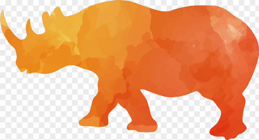 Colorful Animal Silhouettes Set Rhinoceros Silhouette Sauvage PNG