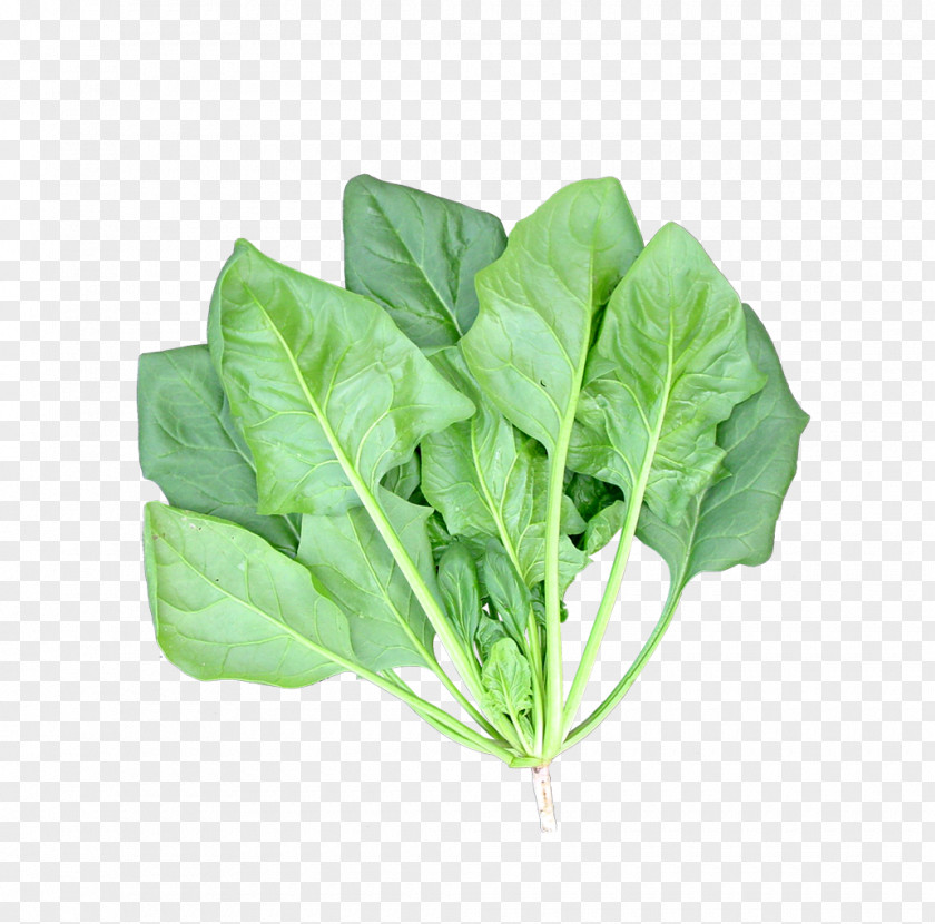 Green Vegetables Spinach Leaf Vegetable Food PNG